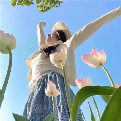 梦里乾坤